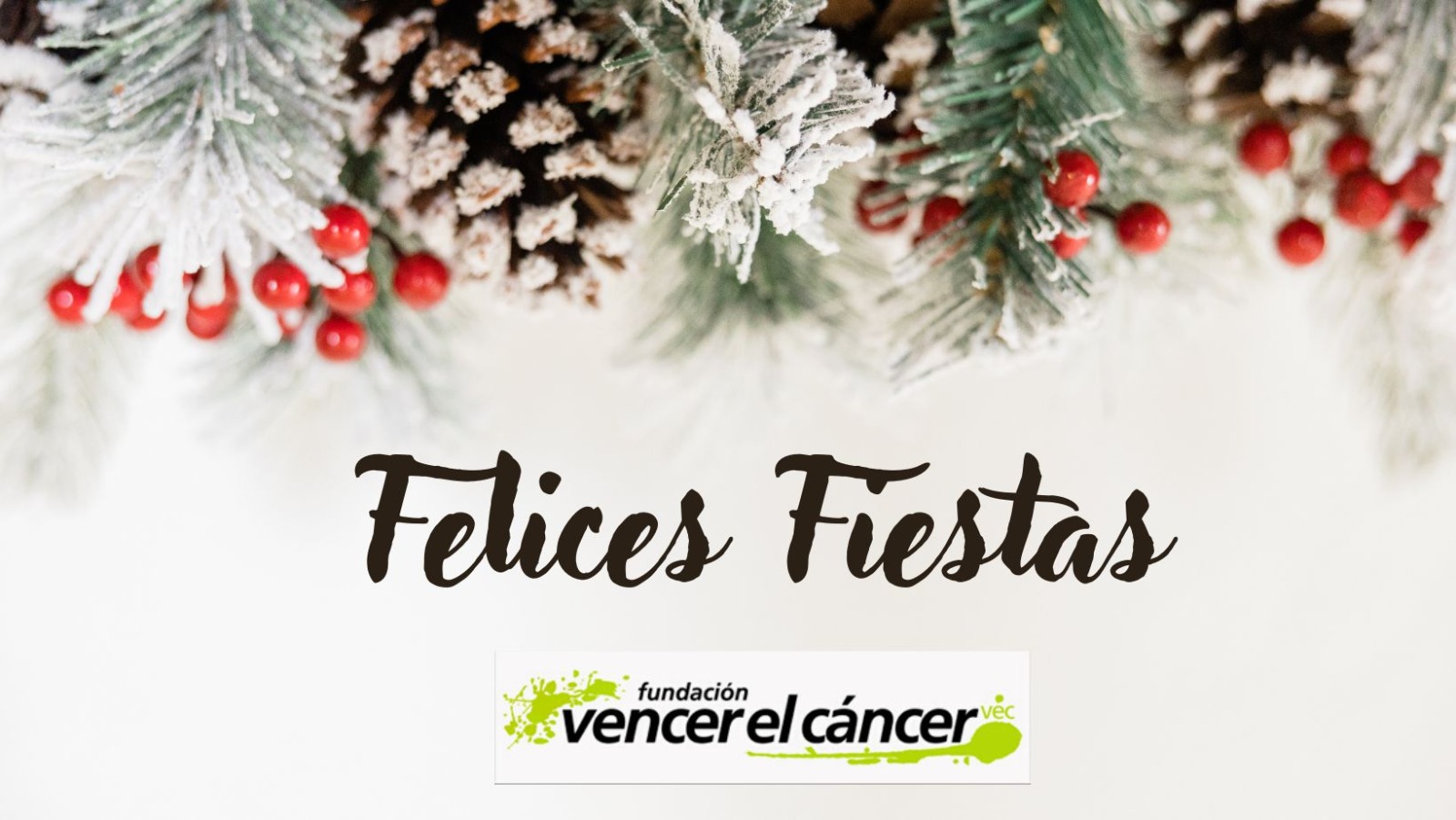 SelloSolidarioVEC