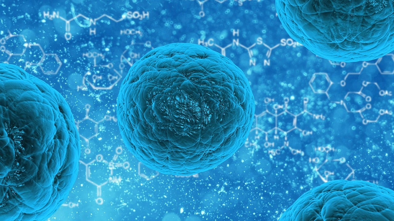 Concienciar sobre la investigación