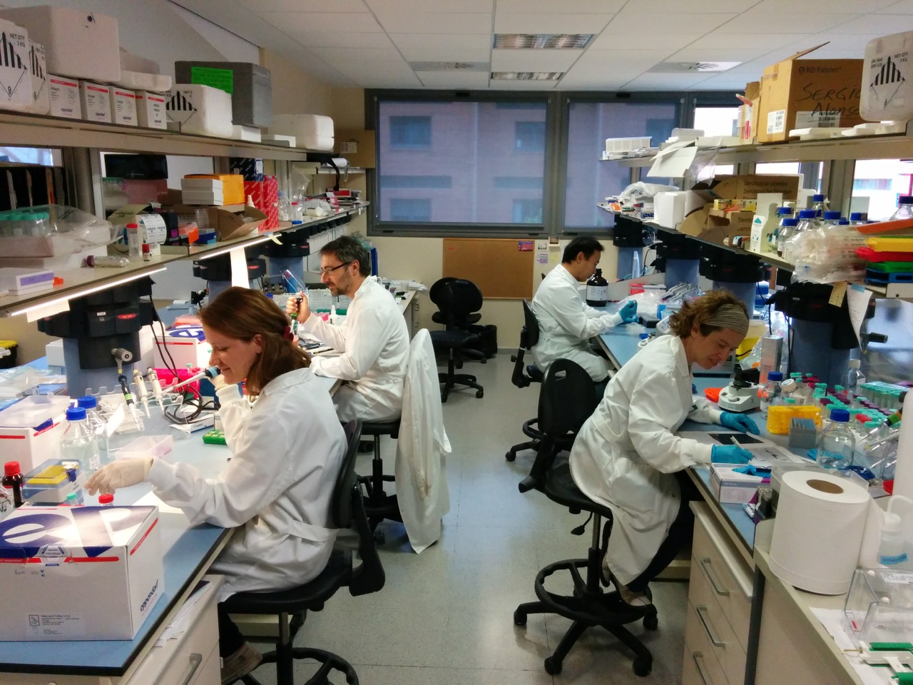 Apoyo a la investigación